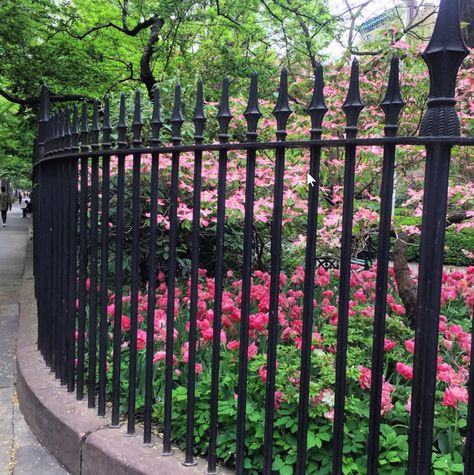 Aluminum Fence Landscaping, Backyard Privacy Fence, Rod Iron Fences, Aluminum Fence Gate, Wrought Iron Fencing, Iron Fencing, Wrought Iron Garden Gates, Metal Fencing, Iron Garden Gates