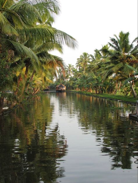 #travel #photography #travelphotography #nature #photooftheday #travelgram #love #instagood #wanderlust #adventure #usa #beautiful #picoftheday #explore #instatravel #vacation #naturephotography #travelblogger #summer #art #landscape #beach #california #traveling #sunset #trip #instagram #newyork #happy #photo Aesthetic Kerala, Kerala Aesthetic, Kerala Culture, Backwaters Of Kerala, Goa Trip, Travel India Beautiful Places, Kerala Backwaters, Kerala Travel, Shop Background