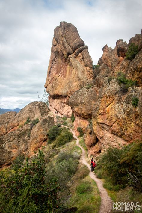 Pinnacles National Park California, Sequoia National Park California, California Condor, Pinnacles National Park, California Parks, Channel Islands National Park, California Trip, National Parks Photography, Badlands National Park