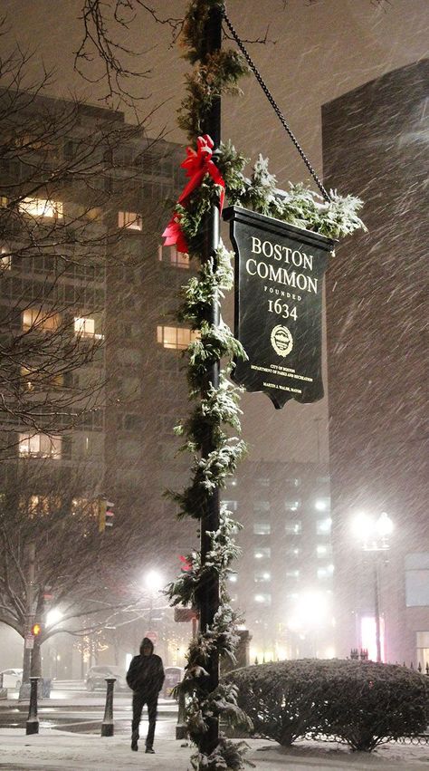 Explore the local spots in Boston with the travel guide at mydesignagenda.com! Weekend In Boston, Massachusetts Aesthetic, Boston Aesthetic, Boston Winter, Boston Travel, Boston Common, Boston Strong, Christmas Feeling, Boston Massachusetts