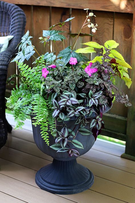 Learn how to create a lush container planter using shade-loving plants! This stunning planter combo is perfect for a shaded porch and very easy to make. Patio Planter Ideas Plant Pots, Patio Planter Ideas, Planter Gardening, Fruit Trees In Containers, Summer Planters, Patio Flower Pots, Trees In Containers, Pedestal Planter, Summer Planter