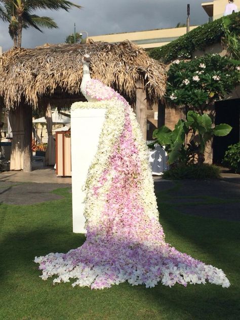 Thousands of orchid blossoms are assembled to create this "living" peacock Flower Arrangements Party, Ceremony Flower Arrangements, Flowers For Wedding Ceremony, Wedding Ceremony Flower Arrangements, Tropical Hotel, Floral Peacock, Hotel Flowers, Dramatic Entrance, Flowers For Wedding