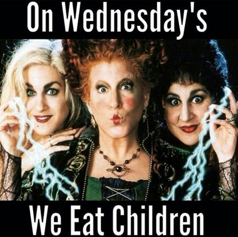 Hocus Pocus Cast, Hocus Pocus Sisters, Hermanas Sanderson, Hocus Pocus Quotes, Pocahontas 2, Hocus Pocus 1993, Hocus Pocus Movie, Hocus Pocus Witches, Hocus Pocus 2