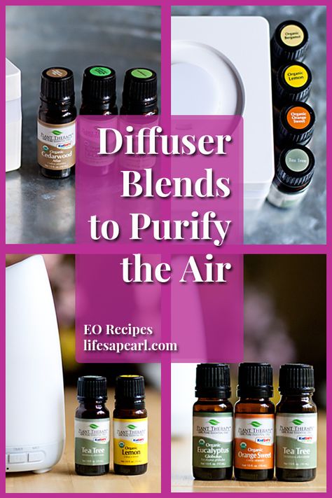 Doterra Diffuser Recipes, Kill Germs Diffuser Blend, Covi̇d Essential Oils, Essential Oils For Smokey Air, Young Living Clean Air Diffuser Blend, Essential Oils To Purify The Air, Air Purifying Essential Oil Blend, Plant Therapy Diffuser Blends, Amyris Essential Oil Blends