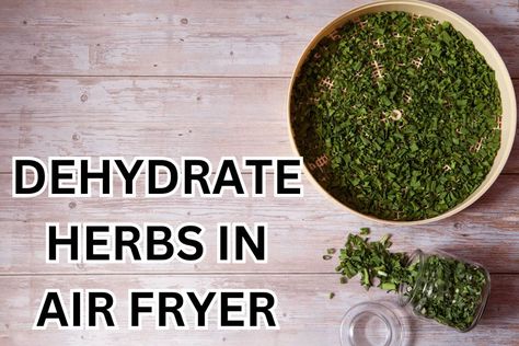 How to Dehydrate Herbs in Air Fryer? Easy Guide! Dehydrating Herbs In Air Fryer, Ninja Dehydrator Recipes, Dehydrating In Air Fryer, Dehydrate Herbs, Dehydrated Herbs, Air Fryer Easy, Herb Drying, Food Dehydrators, Fruit Benefits