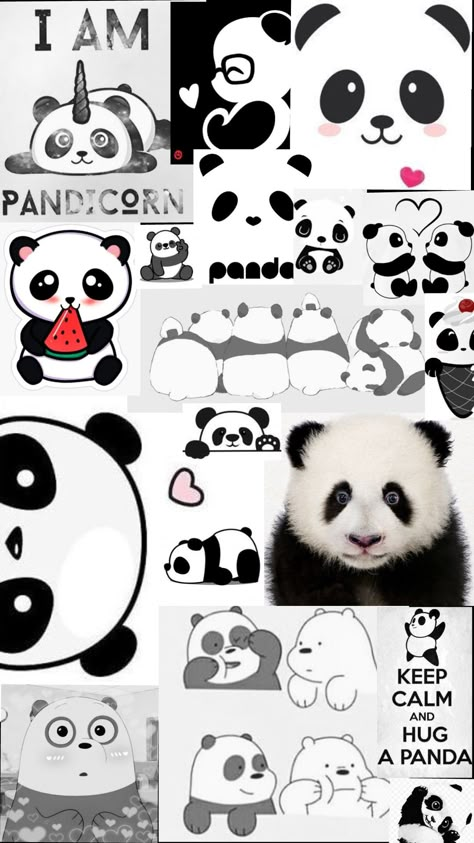 Panda For Wallpaper, Panda Animated Wallpaper, Panda Wallpaper With Quotes, Panda Wallpapers Iphone, Panda Asthetic Wallpers, Panda Wallpaper Iphone Backgrounds, Cute Wallpapers Panda, Cute Panda Wallpaper For Phone, Panda Cute Wallpapers