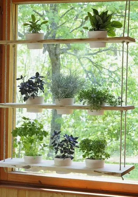 20 Practical Indoor Window Shelf Ideas for Plants | Balcony Garden Web Window Plant Shelves Diy, Indoor Window Planter, Window Shelf For Plants, Window Herb Garden, Window Plant Shelf, Indoor Plant Shelves, Succulent Planter Diy, Plant Window, Window Plants