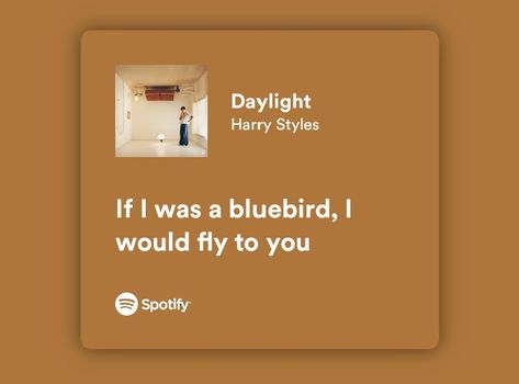 Blue Bird, Harry Styles