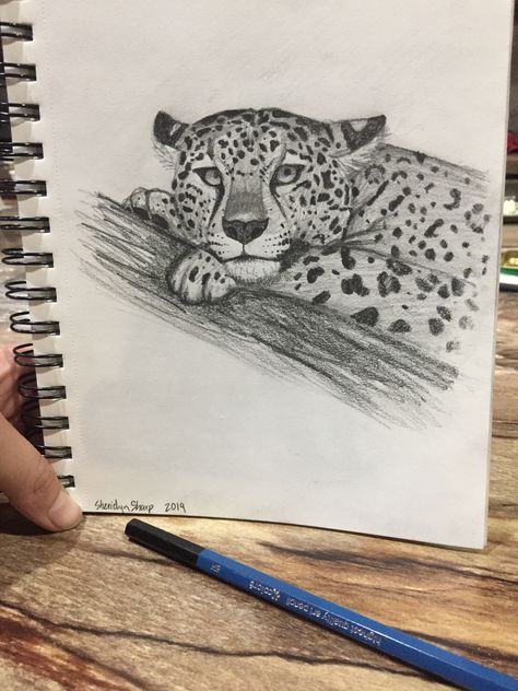 Jaguar pencil sketch drawing Cheetah Sketch Pencil, Leopard Sketch Pencil Drawings, Exotic Drawing Sketch, Drawing Animals Realistic, Jaguar Animal Drawing, Jaguar Drawing Sketches, Zebra Drawing Sketches, Leopard Drawing Sketch, Big Cat Sketch