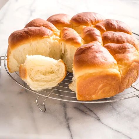 Fluffy Dinner Rolls | Cook's Illustrated Cooks Illustrated Recipes, Japanese Milk Bread, Fluffy Dinner Rolls, America's Test Kitchen Recipes, Homemade Dinner Rolls, Dinner Rolls Recipe, Thanksgiving Dishes, Cooks Illustrated, America's Test Kitchen