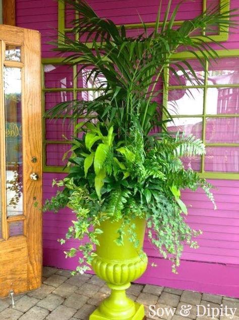 All Green Garden Design - how to create gorgeous planters with all green plants! Planter Design Ideas, Mexican Backyard, Landscape Planters, Diy Planters Indoor, Extra Large Planters, Big Planters, Urn Arrangements, Planting Plants, Container Planting