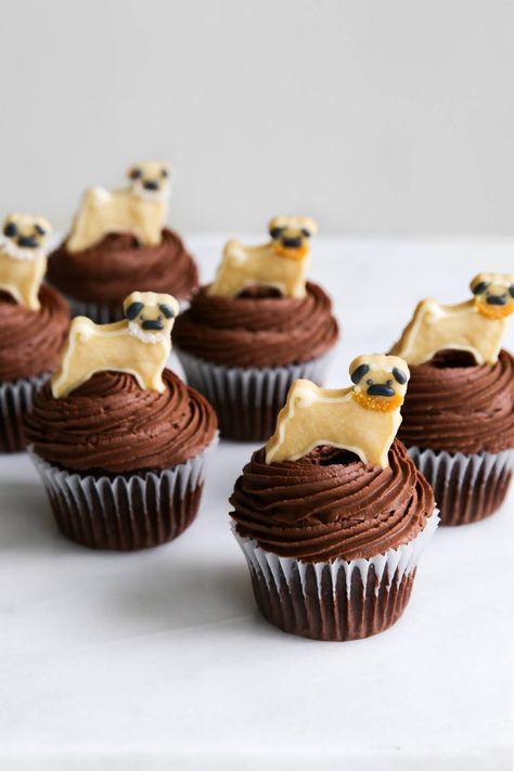 Pug Party Theme, Puppy Cake Ideas, Pug Cookies, Vet Cake, Pug Cupcakes, Ganache Cupcakes, Chocolate Ganache Cupcakes, Dog Chocolate, Mocha Cupcakes