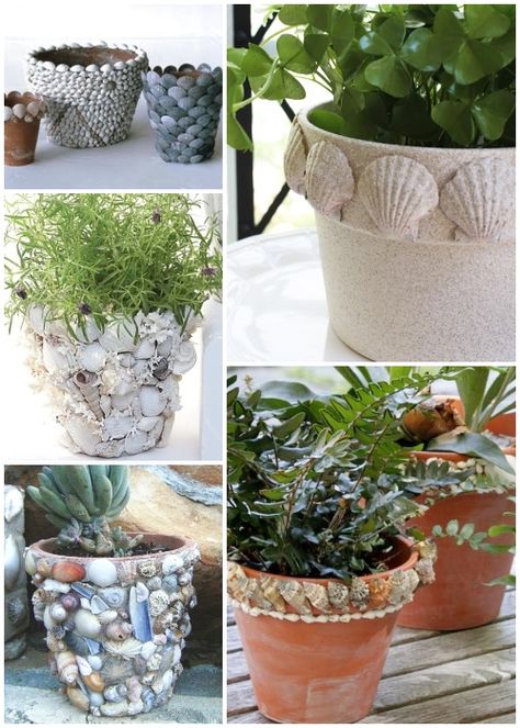 Ideas for how to decorate terracotta pots with sea shells. Featured on Completely Coastal. Decorating terracotta pots with shells can be as simple as creating a decorative rim with assorted shells, or it can be as elaborate as covering the entire pot with a composition of shells, and, of course, anything in between. Take your inspiration from these terracotta pot crafts! Terracotta Pot Crafts, Terra Cotta Pot Ideas, Pot Planter Ideas, Shell Craft Ideas, Decorating Terra Cotta Pots, Beach Cottage Design, Sea Shells Diy, Terra Cotta Clay Pots, Terra Cotta Pots