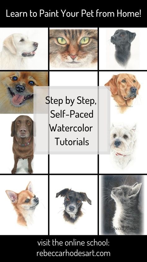 Learn to paint realistic pets and wildlife in Watercolor, all from the comfort of your own home! Visit the online school for step by step video lessons in real time. Lessons are self-paced, so you can take your time. Drawing, reference photo, materials list included in each course. New to watercolor? Explore free tutorials! #watercolor #watercolour #watercolortutorial #howtopaint #tutorial #petportrait #animalpainting #paintmypet #paintyourpet #watercoloranimals #rebeccarhodesart Watercolor Dog Tutorial, Paint Realistic, Dog Watercolor Painting, Painting Hacks, Time Lessons, Paint Your Pet, Dog Watercolor, Step By Step Watercolor, Watercolor Beginner