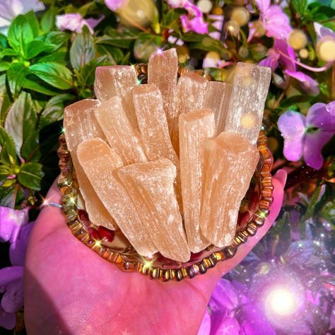 Peach Selenite Appreciation Post✨🧡🍑 read more about this wildly underrated crystal below ✨💫 For starters peach selenite is wonderful to hold when in need of some joy but that’s not all, another reason I love it is for its calming benefits too✨🧡 I’m going to get personal on you all for a moment, I’ve shared about what’s been happing in my life & how I’ve been struggling lately. It’s no secret that I love crystals lol I mean just look at what I do, they are such an amazing aid when it feels l... Peach Selenite, Love Crystals, Appreciation Post, Pastel Aesthetic, In My Life, Crystal Healing, Self Care, My Life, Self Love