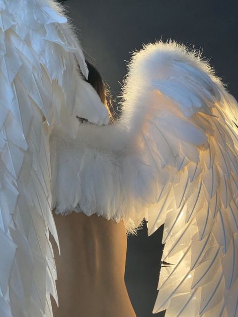 Male Angel Reference, Gay Angel Costume, Angel Clothes Aesthetic, Angle Aethstetic, Angel Aesthetic Male, Male Angel Aesthetic, Angel Boy Aesthetic, Angel Wing Aesthetic, Angle Outfit