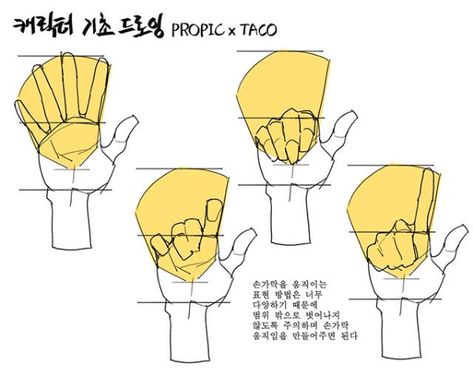 since the possibilities of hand poses are so diverse, the easy way to make them all look natural ( assuming, since its not stated ), is to draw them within ‘the range’ Taco Art, Draw Hands, Anatomy Tutorial, Hand Drawing Reference, Body Reference Drawing, Hand Reference, 캐릭터 드로잉, Gambar Figur, Anatomy Drawing