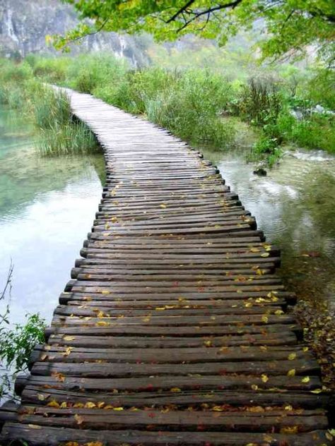 Plitvice Lakes, Croatia Stephanie Bennett, Patio Pergola, Wooden Bridge, Marie Kondo, Garden Paths, Walkway, Garden Bridge, Landscape Architecture, Beautiful World