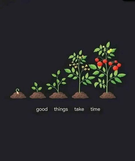 Seeds Quotes, Planting Seeds Quotes, Seed Quotes, Phrases About Life, Great Things Take Time, Life Is Too Short Quotes, Things Take Time, Sayings And Phrases, New Year Wallpaper