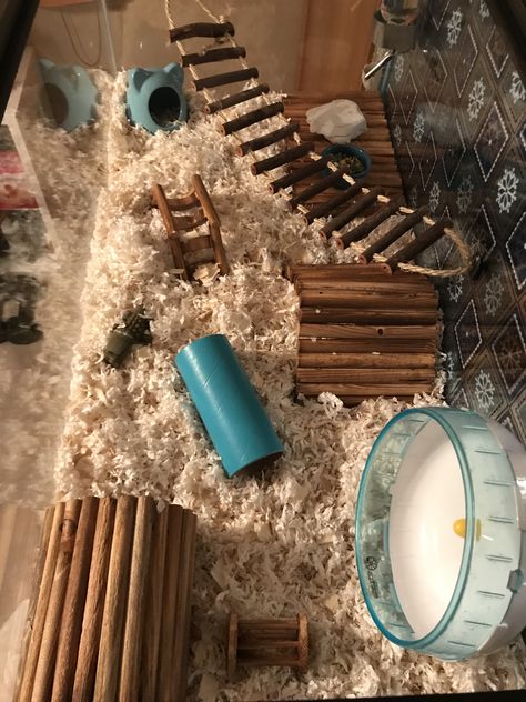 Syrian Hamster Bin Cage, 10 Gallon Hamster Tank Ideas, Syrian Hamster Cage Ideas, Hamster Tank Ideas, Hamster Cage Ideas Tanks, Syrian Hamster Cage Setup, Hamster Homes, Syrian Hamster Cages, Diy Hamster House