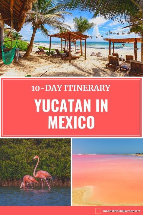 Yucatan Mexico Itinerary, Yucatan Itinerary, Yucatan Travel, Mexico Road Trip, Adventure Places, America Trip, Mexico Itinerary, Tulum Travel, Mexico Trip