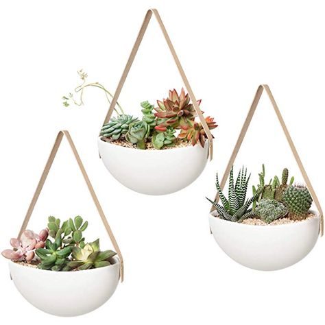 Plants Home Office, Ceramic Wall Planters, Planter Wall, Hanging Wall Planters, Ceramic Succulent Planter, Hanging Flower Pots, Artificial Potted Plants, Hanging Succulents, White Plants