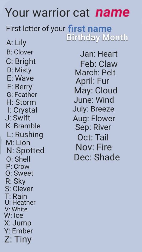 I hope you like it. Comment your name below!!! What Is Your Warrior Cat Name, Warrior Cat Oc Challenge, Warrior Cat Name Ideas, Your Warrior Cat Name, Warrior Name Generator, Mysterious Names, Warrior Cats Name Generator, Warrior Cat Names, Birthday Scenario