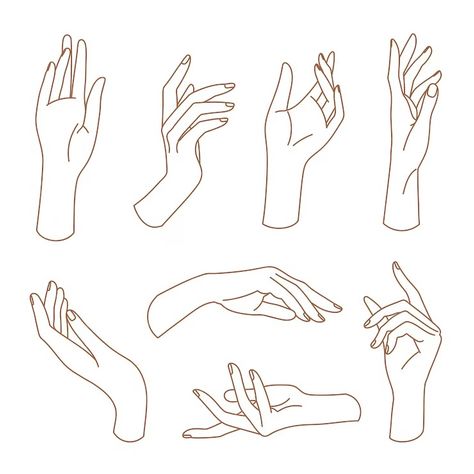 Premium Vector | Set of delicate women's hand in linear style female hands in various gestures Hands Illustration Drawing, Delicate Hand Reference, 2 Hands Drawing, Woman Hands Drawing, Art Reference Hands, Hand Poses References, How To Draw A Hand, Hand Poses Drawing, Hands Drawing Reference