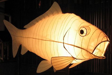 By Peter Hilary. Would like to do something like this for the whale puppet Willow Lanterns, Tissue Paper Lanterns, Fish Lanterns, Fish Lamp, Paper Fish, Lantern Ideas, Cardboard Sculpture, How To Make Lanterns, Paper Lantern