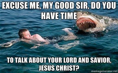 Do You Have a Moment Misunderstood Shark, Shark Meme, Shark Photos, Shark Pictures, Sharks Funny, Shark Fishing, Shark Week, White Sharks, Great White Shark