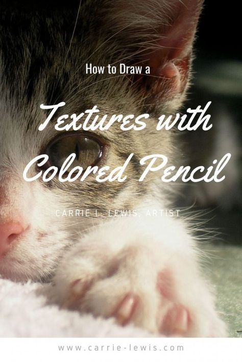 Learn how to draw textures with colored pencils. Includes a demo for cat hair and a fluggy white rug, and tips for drawing eyes, noses, and fruit. Dog Pencil Drawing, Colored Pencil Lessons, Tips For Drawing, Colored Pencil Art, Colored Pencil Art Projects, Blending Colored Pencils, Cats Art Drawing, Color Pencil Illustration, Colored Pencil Tutorial