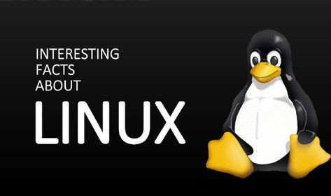 Linux kernel is one of the most popular and powerful platforms to work upon, but do you know all the facts about Linux? Read to know more.. Linux Laptop, Linux Kernel, Twitter Handles, Computer Case, Amazing Facts, Learning Process, Stock Exchange, Chandigarh, One By One