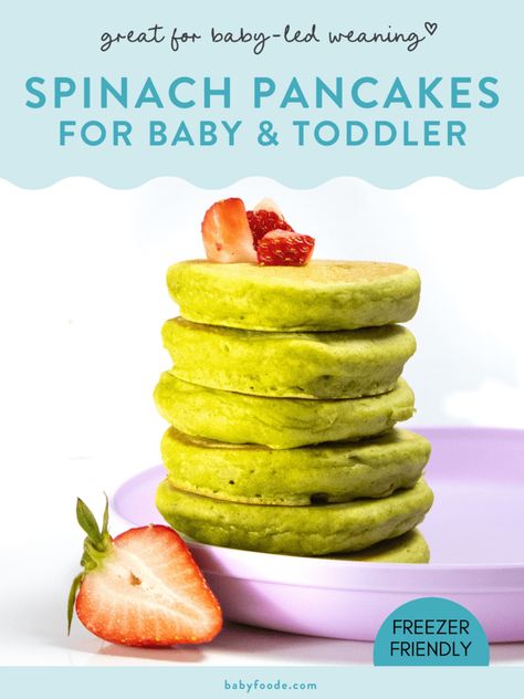 Blw Pancakes, Pancakes For Baby, Baby Pancakes Recipe, Healthy Pancakes For Baby, Spinach And Banana Pancakes, Spinach Banana Pancakes, Spinach For Toddlers, Avocado Pancakes Baby, Baby Spinach Pancakes