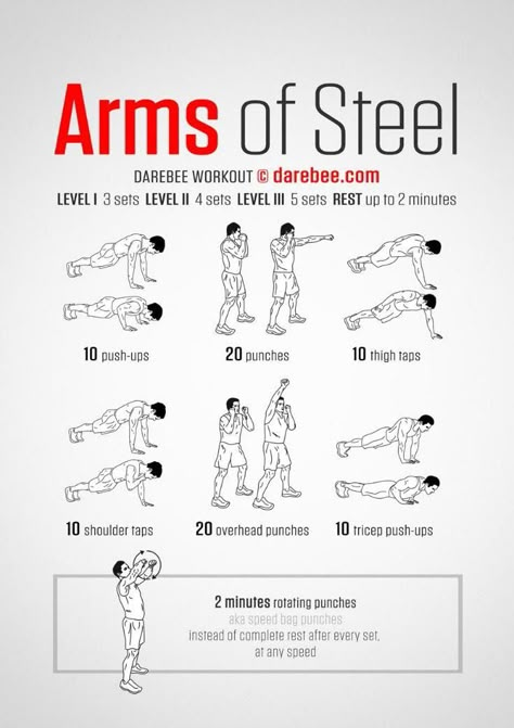 Arm Fitness, Arm Workouts At Home, Workout Man, Trening Sztuk Walki, Fitness Jobs, Workout Men, Fitness Career, Nutrition Sportive, Arms Workout