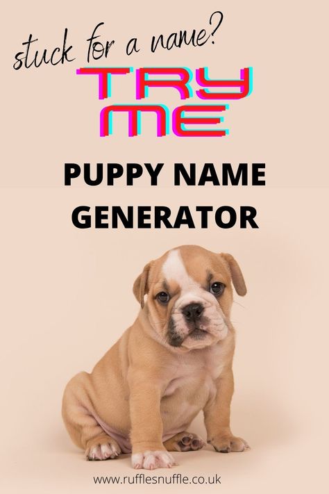 We know it's hard to find the right name and we're here to help. With over 2000+ names in our puppy name generator you can get inspiration from our growing list. Cute names, original names, famous names, cool names, popular names, we have many to choose from. With a click of a button you can find the perfect name for your dog. Head over to the website and give it a try today. Original Dog Names, Unusual Dog Names, Puppy Girl Names, Female Pet Names, Girl Pet Names, Top Dog Names, Tough Dog Names, Most Popular Dog Names, Funny Dog Names