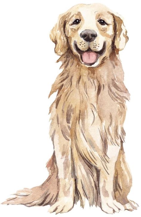 Golden Retriever Illustration Drawing, Watercolour Dog Simple, Golden Retriever Watercolor Painting, Golden Retriever Painting Easy, Watercolor Golden Retriever, Vintage Dog Illustration, Labrador Illustration, Easy Dog Drawing, Golden Retriever Illustration