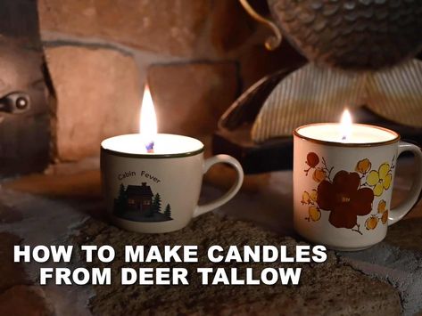 These DIY deer candles make the ultimate stocking stuffer Deer Tallow, Tallow Candles, Venison Steak, Make Candles, Food Plot, Easy Diy Gifts, Whitetail Deer, Hot Glue Gun, Craft Time