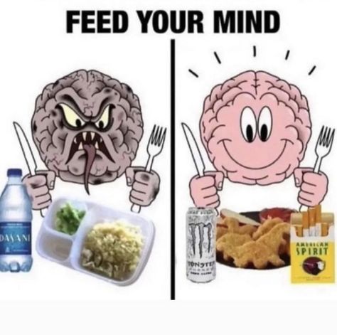 Feed Your Mind, Personalized Nutrition, Absolut Vodka, Silly Images, Love Memes, Silly Me, What’s Going On, Funny Laugh, The Words