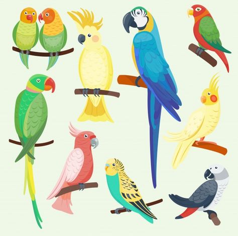 Macaw Flying, Birds Tropical, Tropical Parrot, Cartoon Birds, Colorful Parrots, Animal Sketches, Exotic Birds, Tropical Birds, Bird Drawings