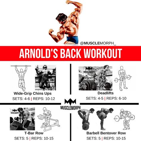 Back workout arnold schwarzenegger musclemorph https://musclemorphsupps.com Arnold Back Workout, Arnold Training, Accessory Workout, Arnold Schwarzenegger Workout, Arnold Gym, Schwarzenegger Quotes, 2024 Workout, Arnold Schwarzenegger Gym, Arnold Workout