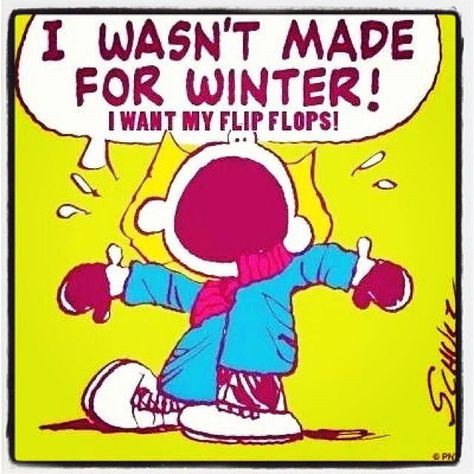 Winter Humor, Hate Winter, Winter Quotes, Snoopy Quotes, Winter Photos, Friday Humor, Charlie Brown And Snoopy, Winter Pictures, Facebook Image