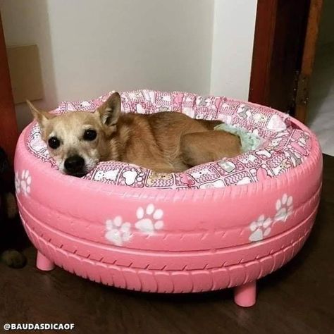 Pet Beds Made From Furniture, Diy Dog Furniture, Tire Dog Bed Diy, Homemade Pet Beds, Dog Beds Out Of Toddler Beds, Diy Tyre Dog Bed, Dogs Bed, Dog Bedroom, Diy Pet Bed