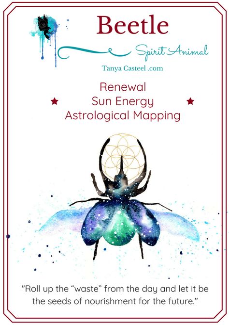 Beetle cosmic animal spirit animal meaning & symbolism Beetle Spirit Animal Meaning, Black Beetle Spiritual Meaning, Beetle Spiritual Meaning, Animal Totem Spirit Guides, Spirit Animal Meaning, Animal Spirit Guide, Animal Meanings, Spirit Animal Totem, Animal Medicine