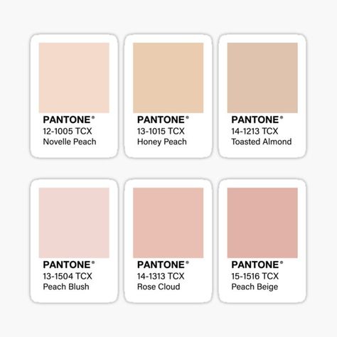 A peachy pink pack of Pantones! (say that three times fast) • Millions of unique designs by independent artists. Find your thing. Champagne Palette, Pink Pantone, Nude Color Palette, Color Stickers, Pantone Palette, Hex Color, Hex Codes, Palette Design, Color Codes