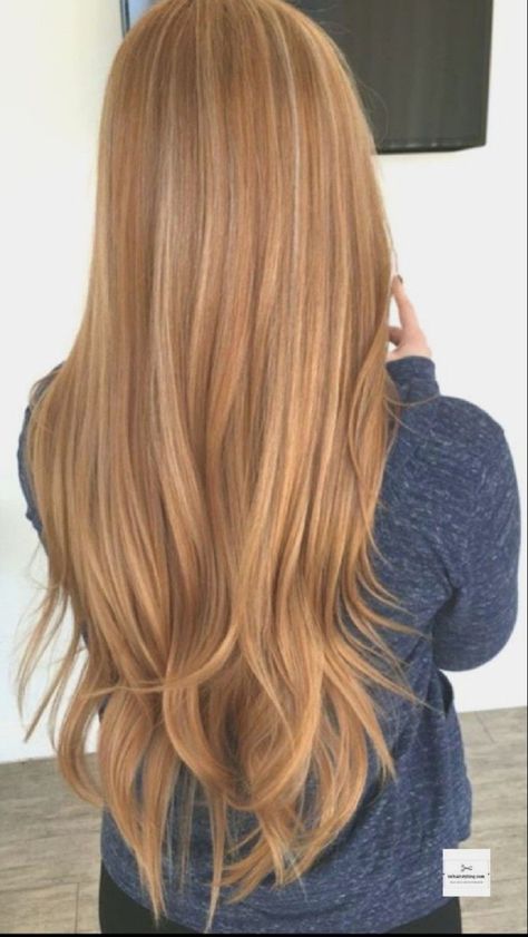 Blonde Ideas, Red Blonde Hair, Strawberry Blonde Hair Color, Strawberry Hair, Ginger Hair Color, Copper Hair Color, Honey Blonde Hair, Strawberry Blonde Hair, Long Red Hair