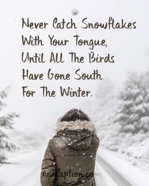 Winter Signs And Sayings, Funny Cold Weather Quotes, Snow Puns, Snow Captions, Cold Humor, Cold Weather Quotes, Laughter Medicine, Couple Captions, Snow Quotes