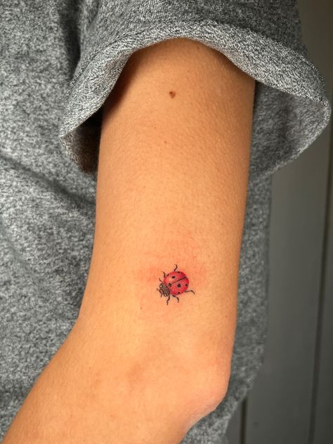 #tattoo #tattooideas #tattoos #tattooshop #tattoostudio #londontattoo #londontattoos #tattoolondon #tattooslondon #ladybird #handpoke #handpokedtattoo #stickandpoke #stickandpoketattoo Two Ladybugs Tattoo, Red Ladybug Tattoo, Matching Ladybug Tattoos, Miraculous Ladybug Tattoo Ideas, Hungry Caterpillar Tattoo, Miraculous Tattoo, Lady Bird Tattoo, Miraculous Ladybug Tattoo, Dainty Ladybug Tattoo