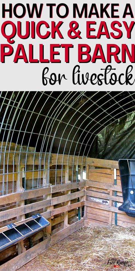 Easy Livestock Shelter, Homemade Goat Shelter, Donkey House Diy, Pallet Animal Pen, Pallet Goat Barn, Shelter For Deer, Pig Shelters For Winter, Diy Animal Shelter Ideas, Quick Horse Shelter