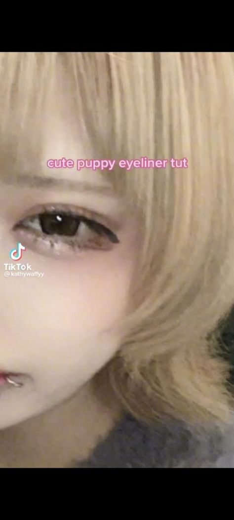 Puppy Eyeliner Aesthetic, Puppy Liner Makeup, Puppy Eyeliner Tutorial, Puppy Eye Makeup, Puppy Eyes Makeup, Puppy Eyeliner, Doll Makeup Tutorial, Japan Makeup, Cute Eye Makeup