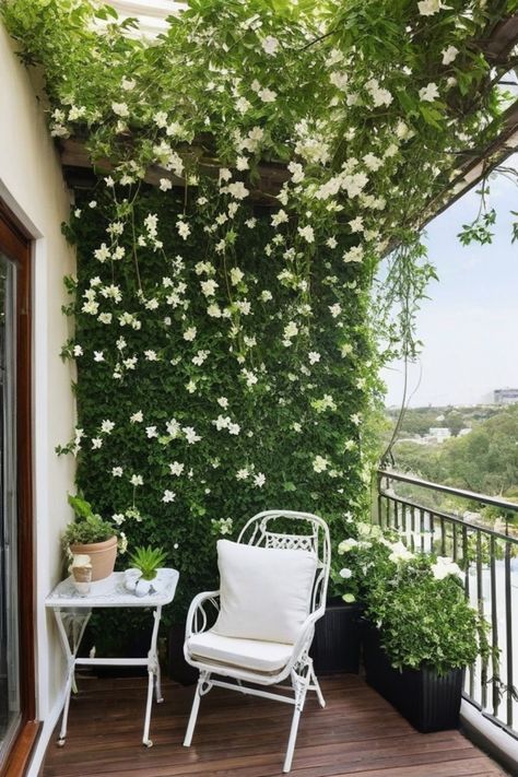 Discover the best vines for pots and containers to elevate your balcony or patio space. Whether you're looking for vines and climbers for balconies and patios, or interested in growing clematis in containers, we have the tips you need. Explore a variety of annual flowers perfect for pots, creating a stunning floral display that will brighten up any outdoor area. Transform your small space into a blooming oasis with these beautiful climbing plants suitable for pots. Balcony Vines Ideas, Balcony Creeper Plants, Vine Plants Outdoor Climbing, Hanging Geraniums, Climbing Plants In Pots, Plants For Balcony, Climbing Flowering Vines, Growing Clematis, Indoor Climbing Plants